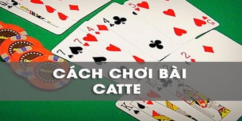 Cách Chơi Catte 2025: Hướng Dẫn Chi Tiết, Luật, Mẹo Thắng Cho Người Mới